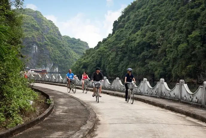 Orchid Ha Long Cruise 