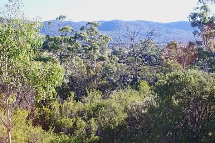 Manuka on Freycinet