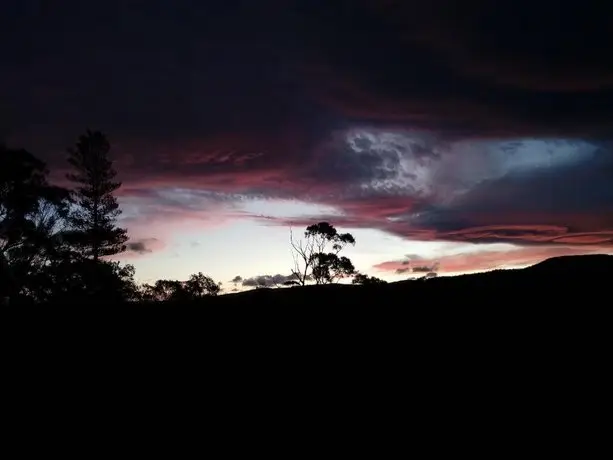 Manuka on Freycinet