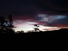 Manuka on Freycinet 