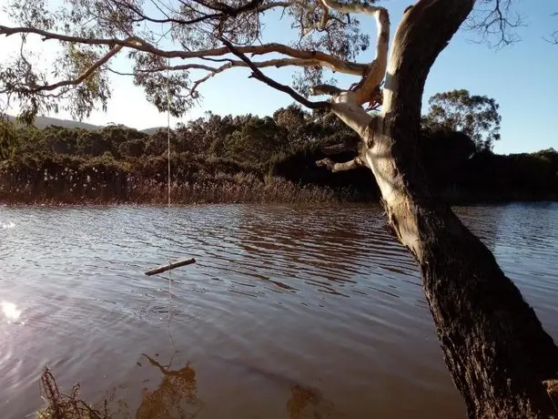 Manuka on Freycinet 