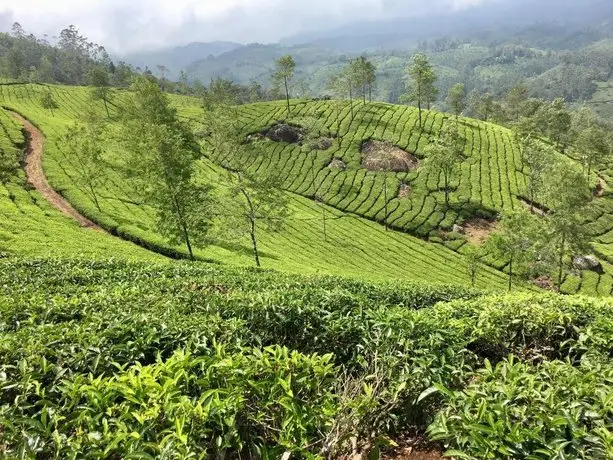 The Munnar Queen 