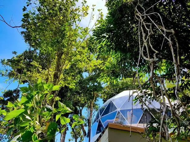 Chira Glamping Monteverde 