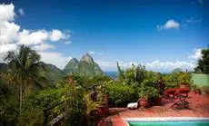 Papaya Soufriere 