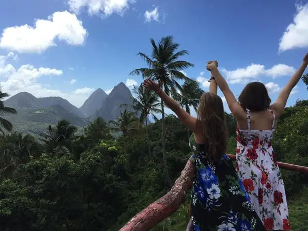 Papaya Soufriere 