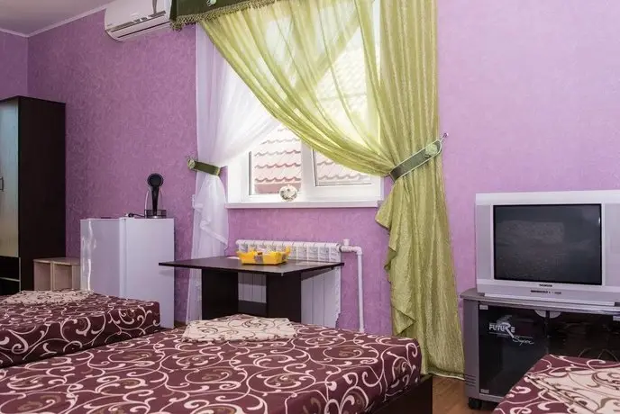 V Aleksino Guest house