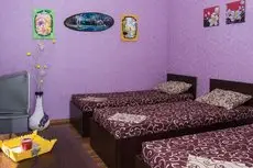 V Aleksino Guest house 