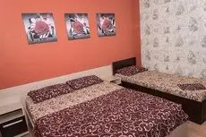 V Aleksino Guest house 