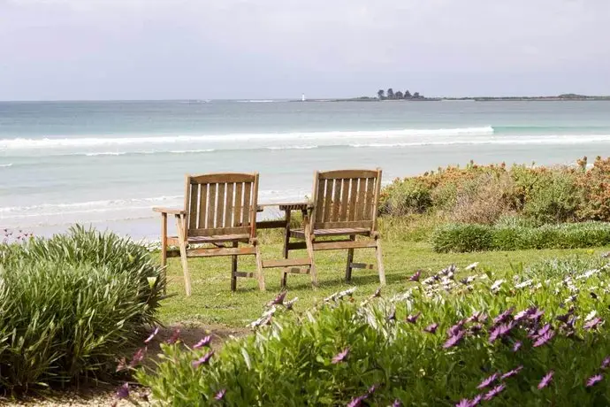 Daisies by the Sea