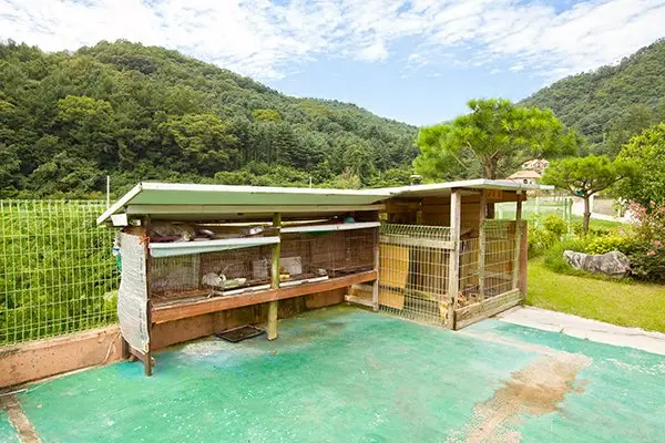 Yangpyeong Sunny Hill Pension 