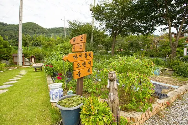 Yangpyeong Sunny Hill Pension 