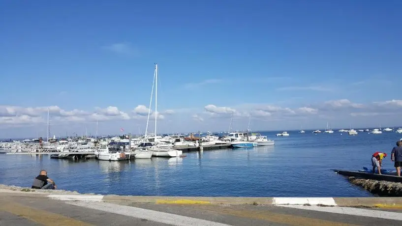 Les Huniers Arcachon 