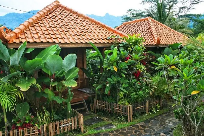 Janur Bungalow 