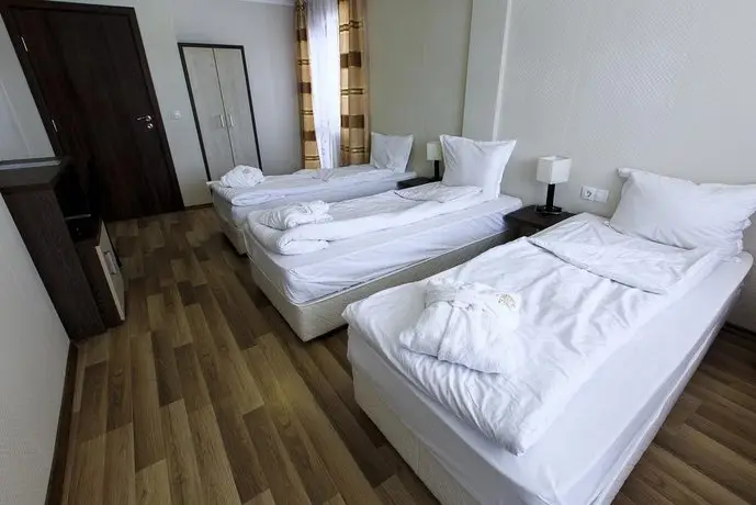 Hotel Nikol Dolna Banya 