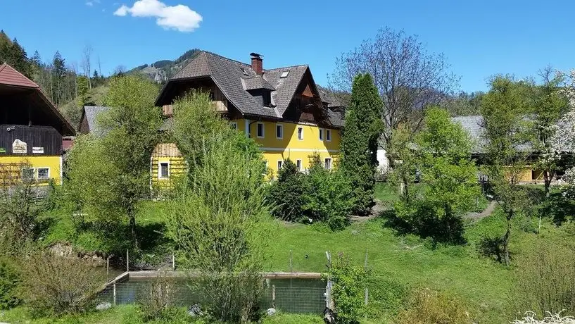 Biohof und Reiterhof Laussabauer