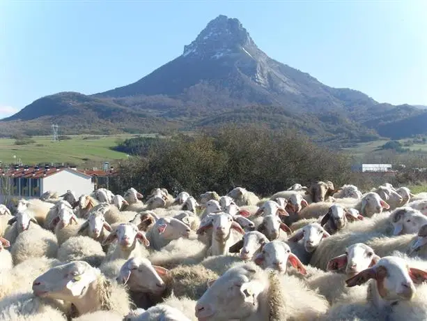 Casa Rural Reparaz 