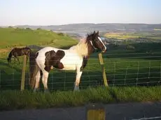 Northlees Farm 