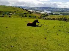 Northlees Farm 