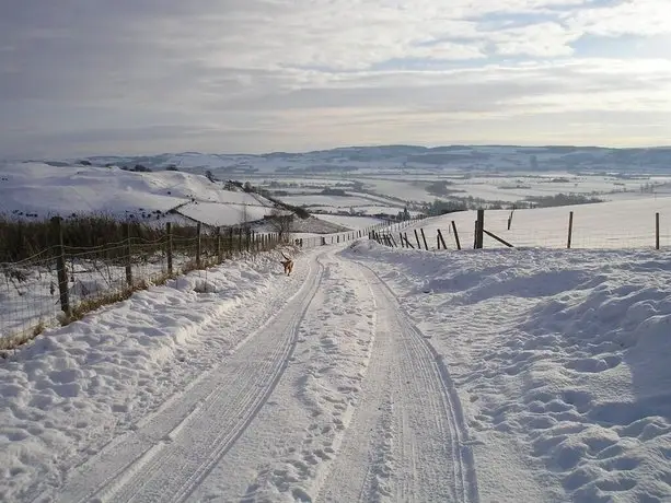 Northlees Farm 