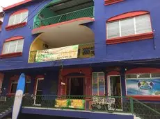 Green Monkey Hostel 