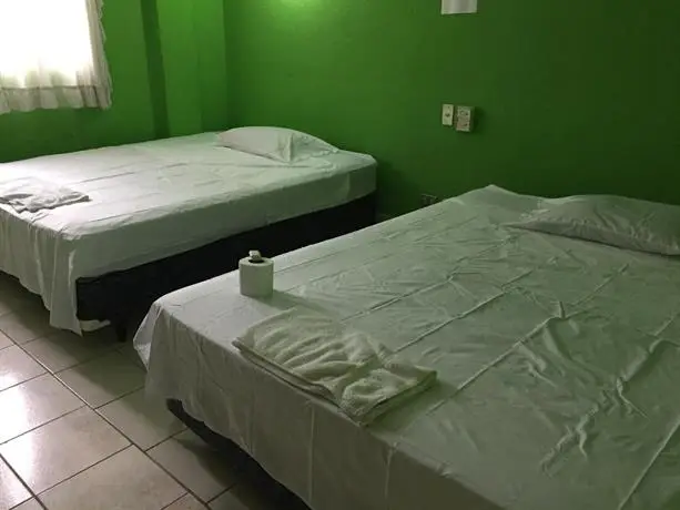 Green Monkey Hostel 