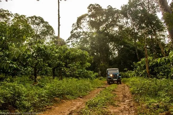 Camping In Remote Coorg