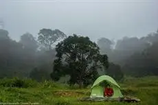 Camping In Remote Coorg 