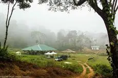 Camping In Remote Coorg 