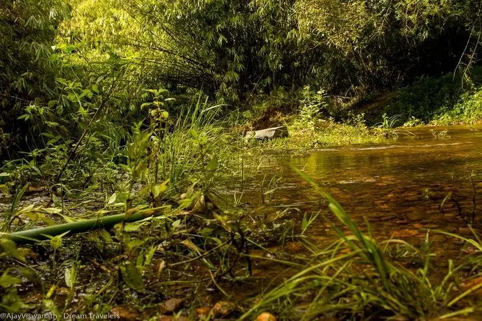 Camping In Remote Coorg 