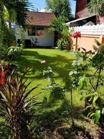 Bamboo Garden