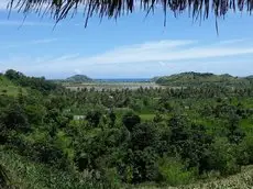 Lombok Hill Wiolett 