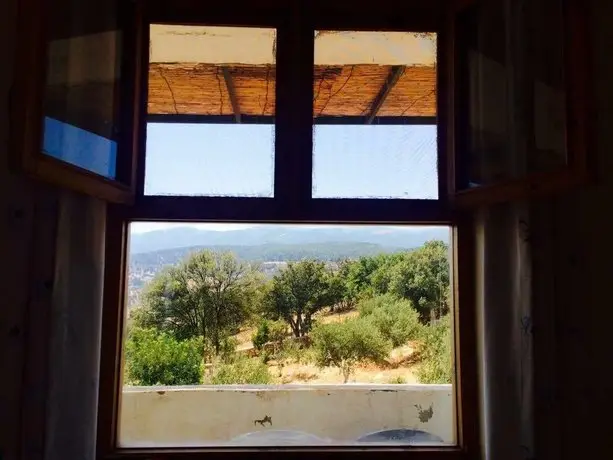 Jerash Dibeen Eco Farm House 