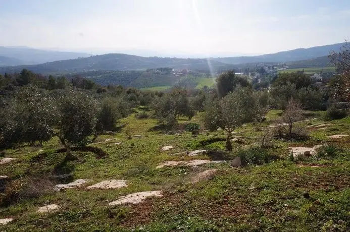 Jerash Dibeen Eco Farm House 