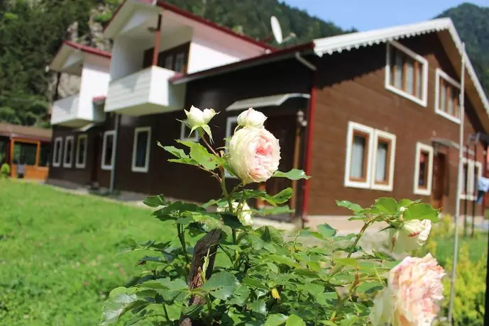 Uzungol Selale Hotel 