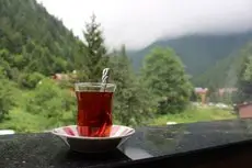 Uzungol Selale Hotel 