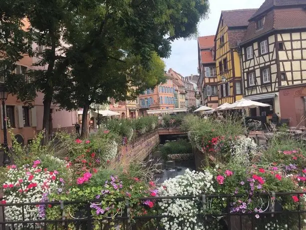 Colmar vignes