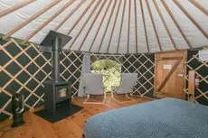 Oasis Yurt Lodge 