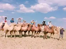 Camel Track Guesthouse 