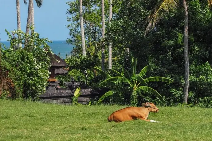 Canggu Beach Hostel 