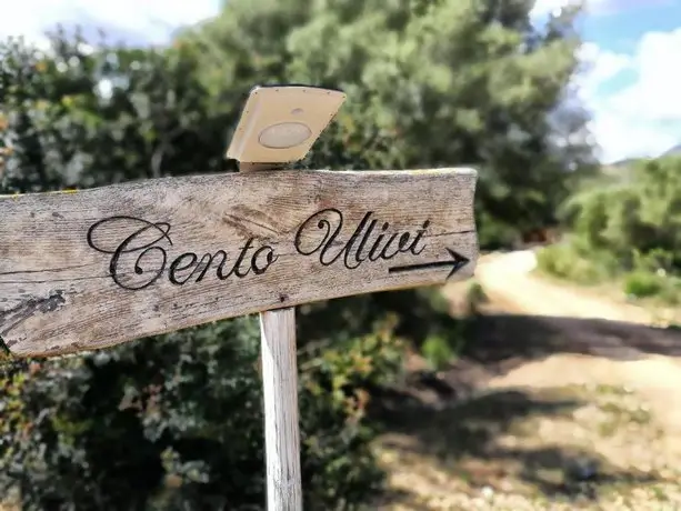 Cento Ulivi B&B 