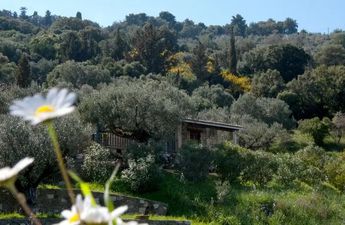 Villa Collina Zakynthos 