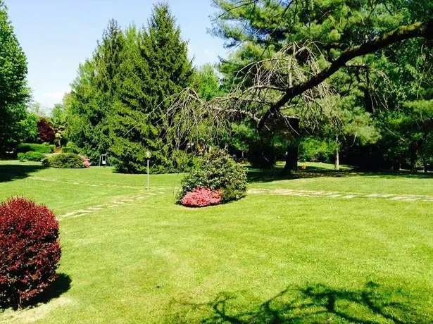 Il Nido Sull'Albero Rosa 