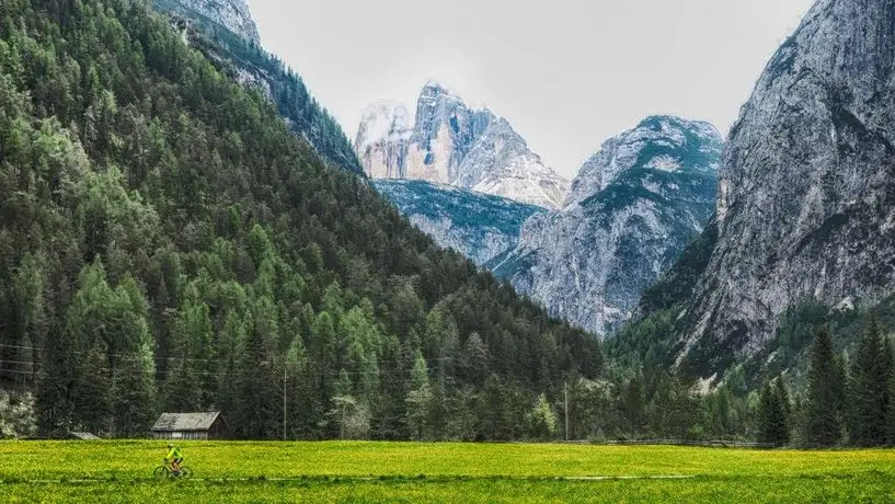 Plankensteiner Tschurtschenthaler 