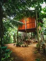 Sigiri Aliya Tree house 