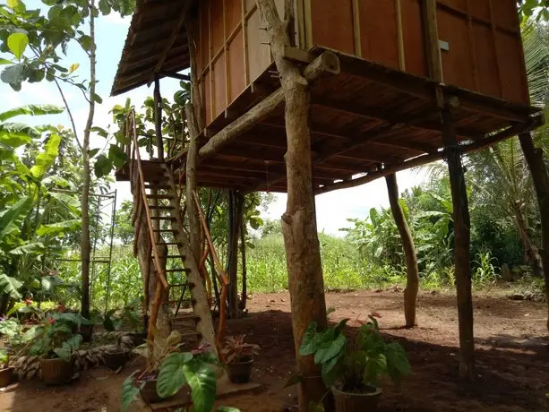 Sigiri Aliya Tree house