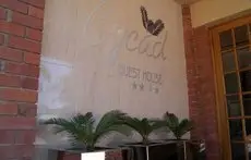 Cycad Guest House Polokwane 