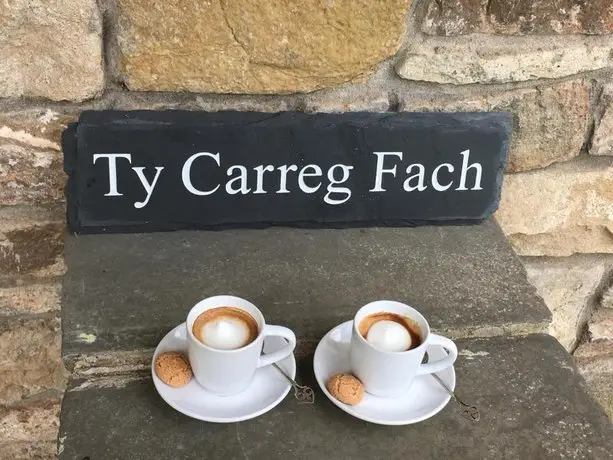 Ty Carreg Fach