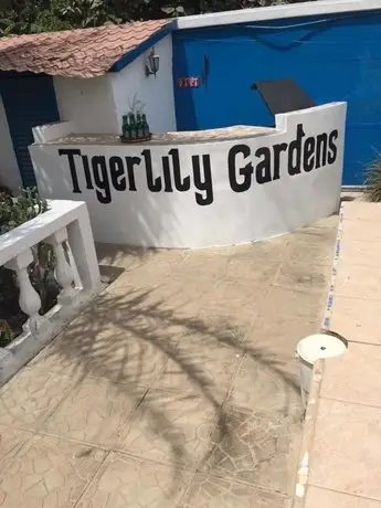 Tigerlily Gardens 