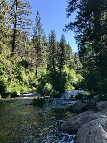 Yosemite Lakes Bunkhouse Cabin 28 