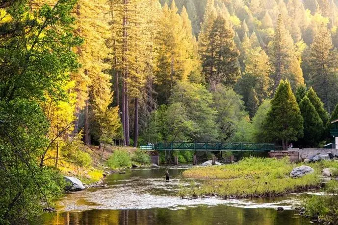 Yosemite Lakes River Yurt 25 